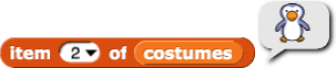 item (2) of (costumes) reporting a picture of the penguin costume