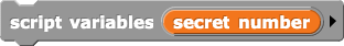 script variables (secret number)